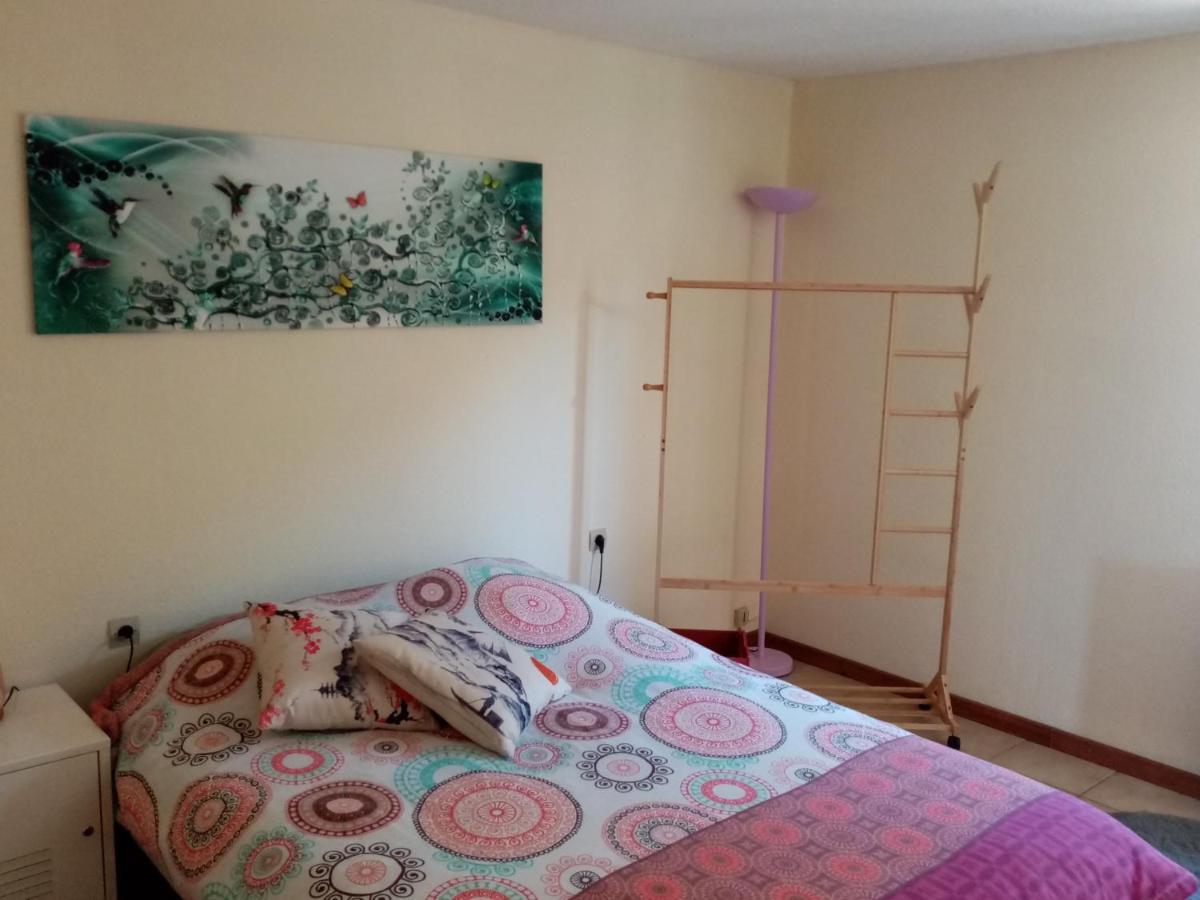 Apartament Hysope Chateau-Arnoux-Saint-Auban Zewnętrze zdjęcie