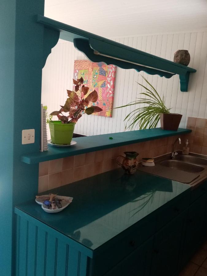 Apartament Hysope Chateau-Arnoux-Saint-Auban Zewnętrze zdjęcie