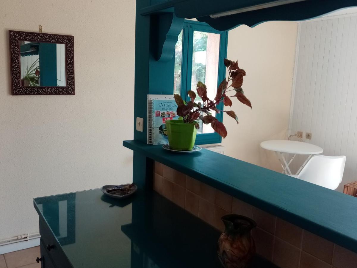 Apartament Hysope Chateau-Arnoux-Saint-Auban Zewnętrze zdjęcie