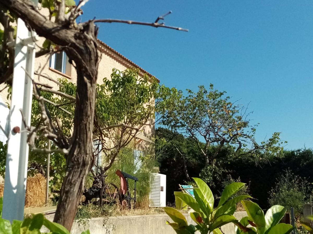 Apartament Hysope Chateau-Arnoux-Saint-Auban Zewnętrze zdjęcie