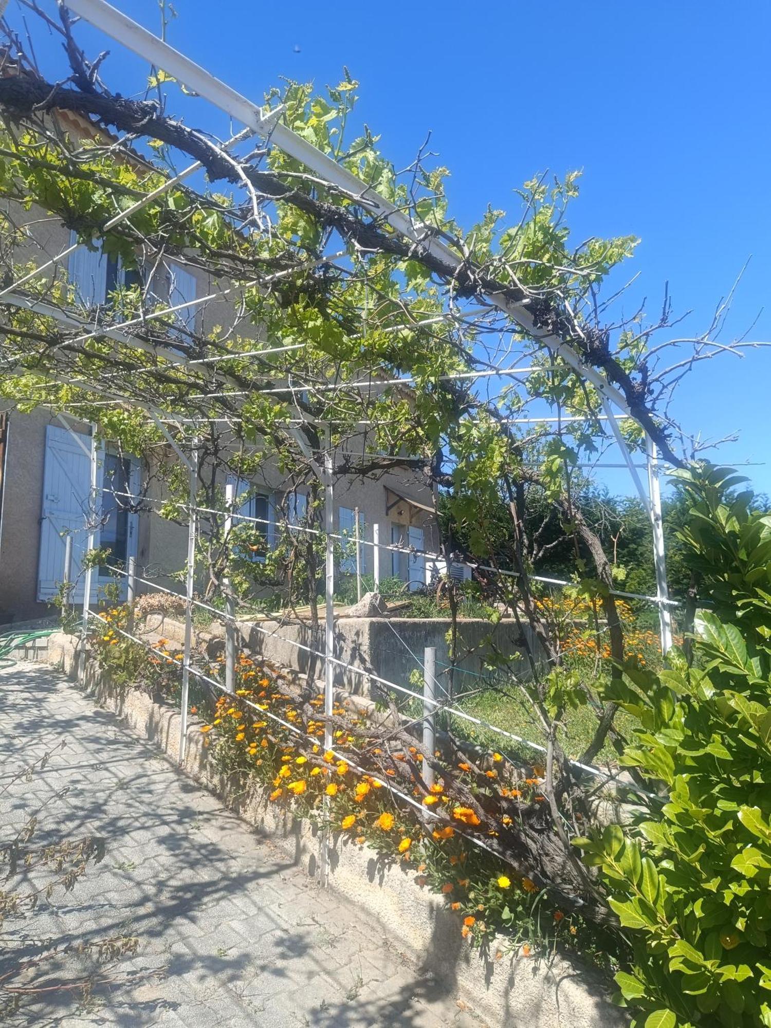 Apartament Hysope Chateau-Arnoux-Saint-Auban Zewnętrze zdjęcie